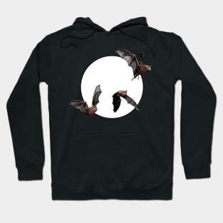 Bats Hoodie